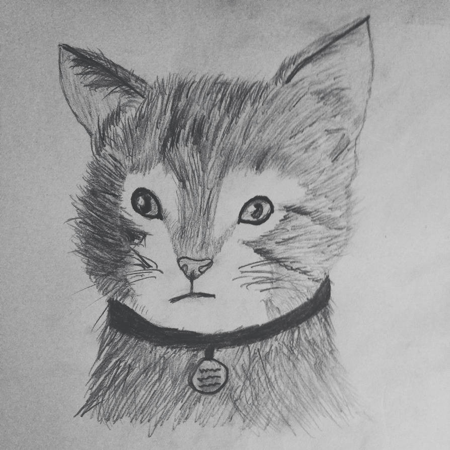 cat drawing attempt by nova works