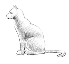 drawing tips drawing sketches cat sketch cat drawing drawing lessons easy sketches sketching animal drawings pencil drawings