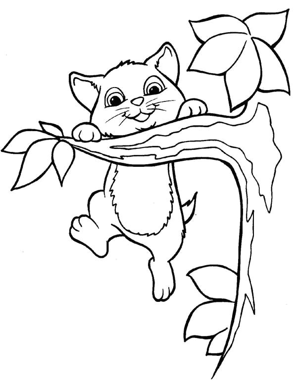 kitty cat this active kitty cat playing on a tree branch coloring page