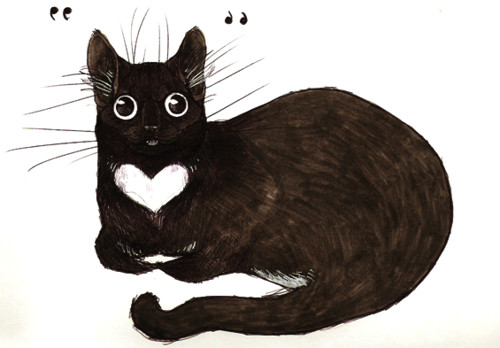 cat drawing art