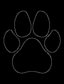 dog paw print pattern