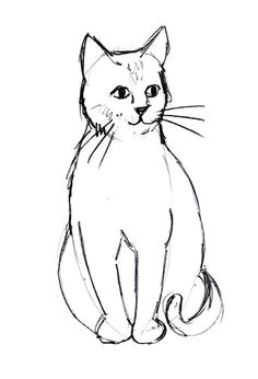 how to draw face sketch and to draw on pinterest simple cat drawing cat