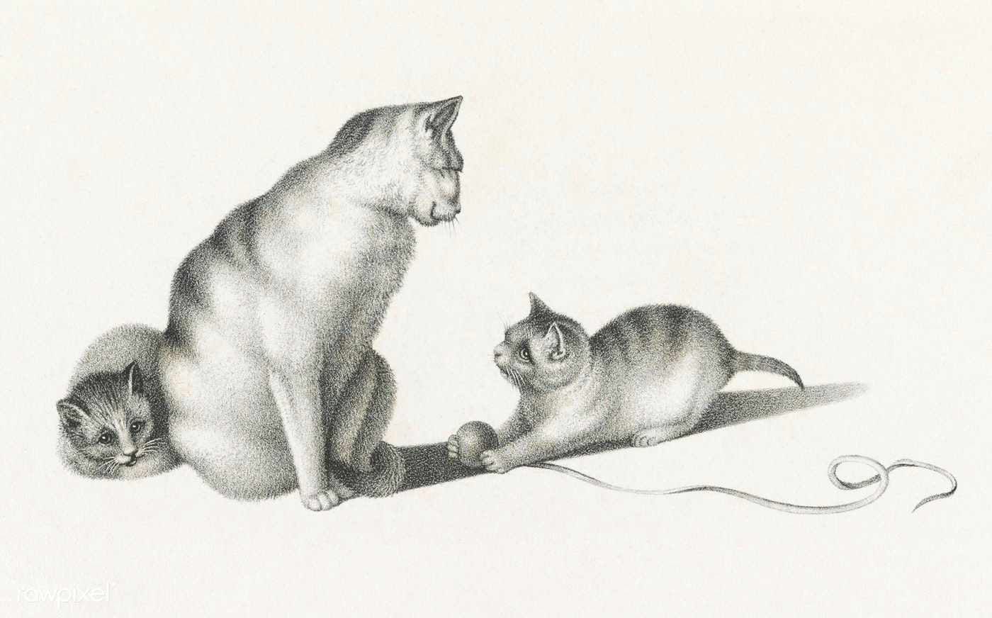 illustration of two domestic cats playing by gottfried mind 1768 1814 original from library of congress digitally enhanced by rawpixel