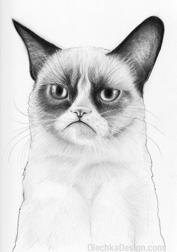 Drawing Of A Cat Sleeping Grumpy Cat She who Sleeps with Cats Pinterest Grumpy Cat Cats