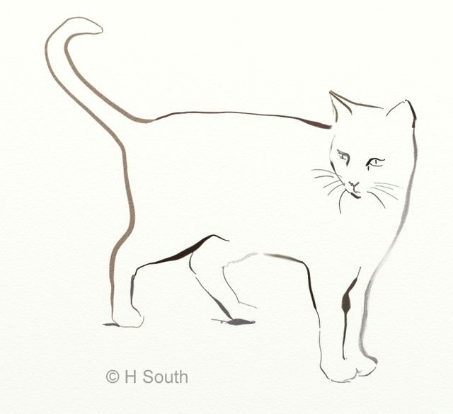 a cat sketched in digital ink h south licensed to about com inc based on a photograph by sem libeert