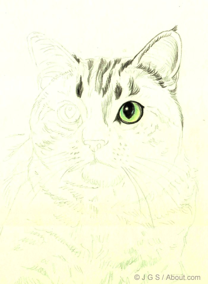 cat portrait 3 56a26d8e3df78cf772758d6f jpg