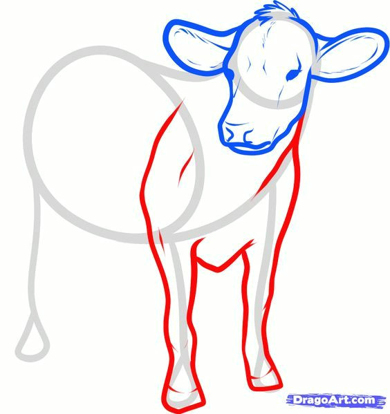 how to draw cattle step by step farm animals animals free