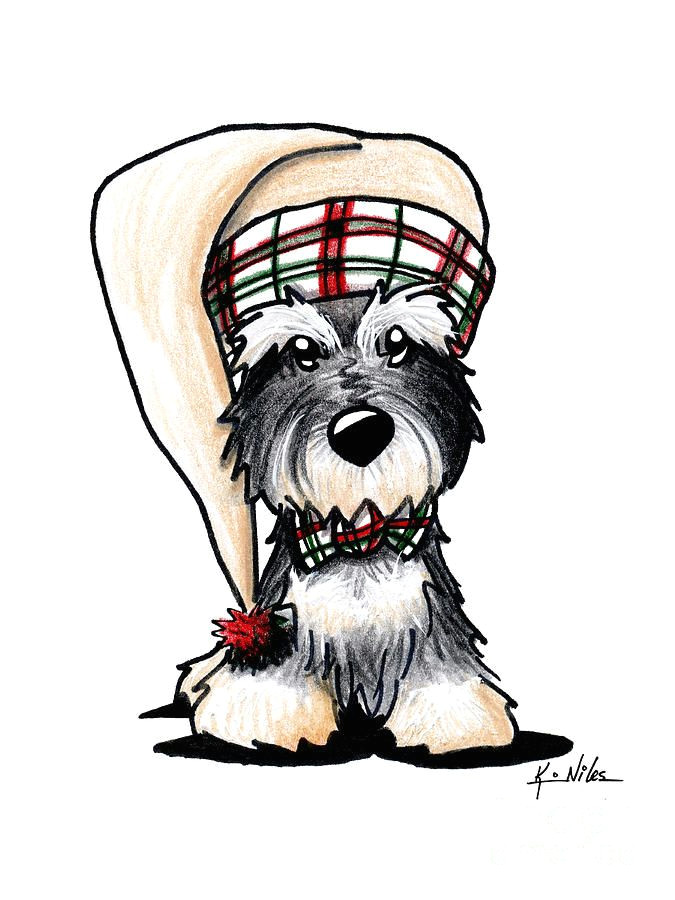 christmas dog with hat schnauzer drawing winter schnauzer by kim niles