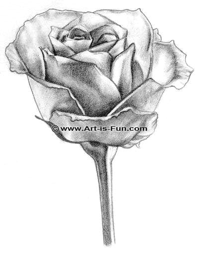 drawings of roses awesome closed rose drawing fresh s s media cache ak0 pinimg originals 89 0d