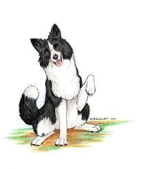 rough collie collie dog border collie humor border collie puppies dog art