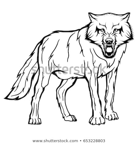 vector sketch of a wild dog business sign logo husky face sketch of a