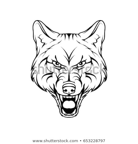 vector sketch of a wild dog business sign logo husky face sketch of a