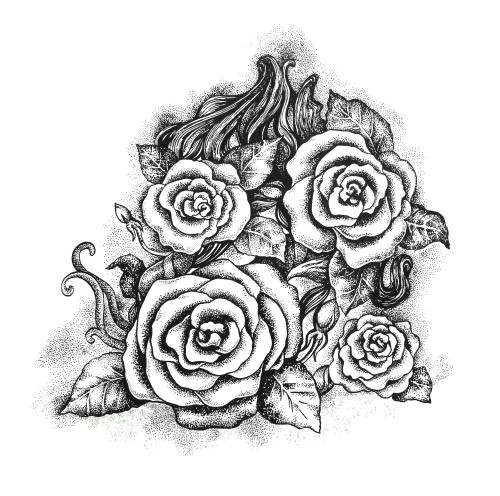 black and white ink roses
