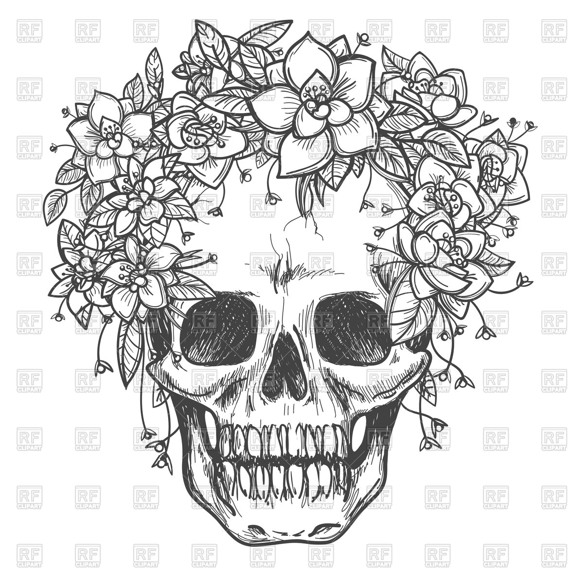 hand drawing dead skull with rose flowers vector image vector illustration of people a c vectortatu click to zoom