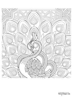 peacock feather coloring pages colouring adult detailed advanced printable