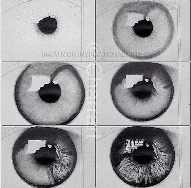 drawn eyeball detailed