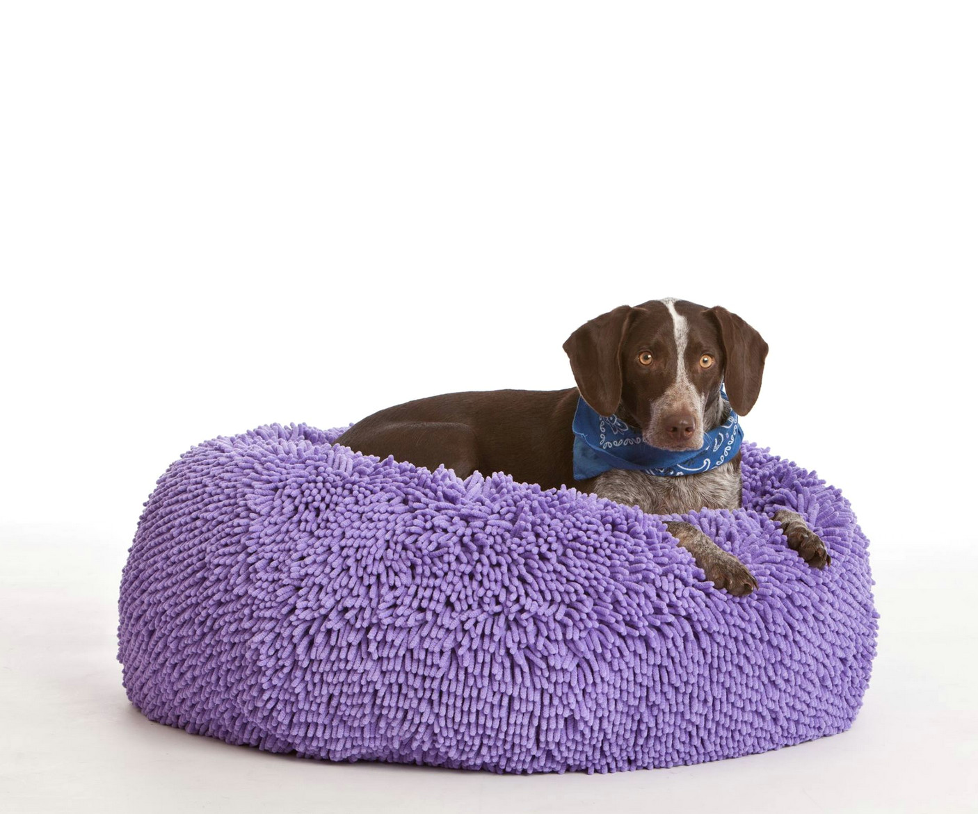 my dog loves this bean bag he lounges on it most of the day and no longer sleeps in the bed with me at night he chooses his bean bag customerreview