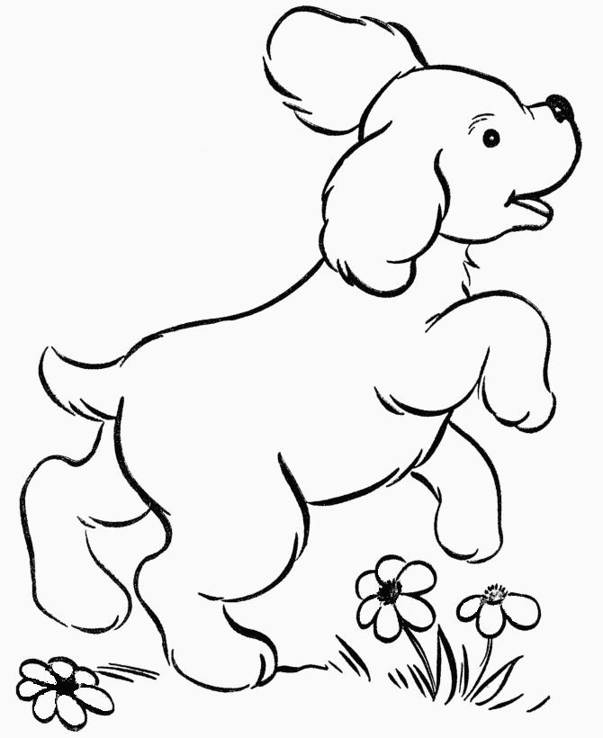 dog bone coloring page best of cutest coloring pages animals you can find stunning awesome od