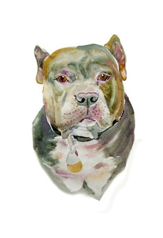 custom pet portrait custom portraits pet portrait watercolor painting dog portrait