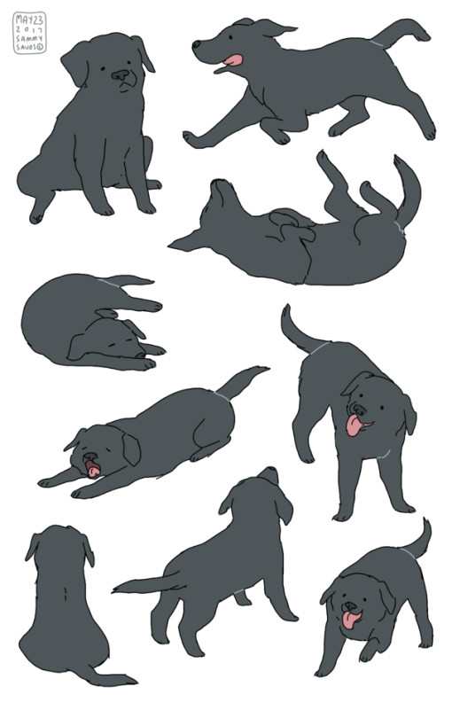 is this zed s dog because i think it is animal sketches animal drawings art