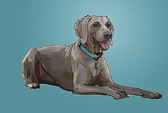 mashara i will draw your amazing pet in a realistic style for 5 on www fiverr com