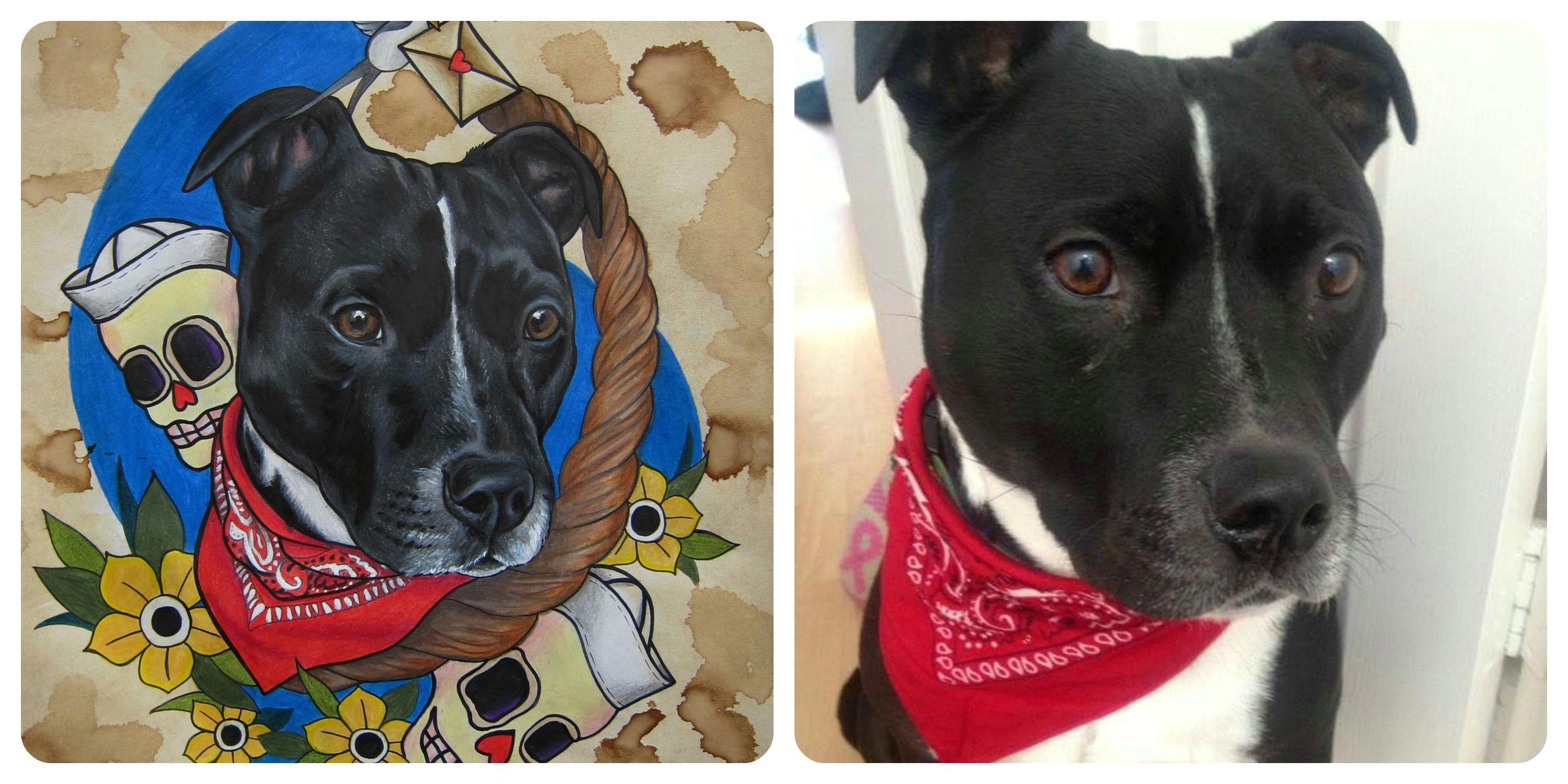 pet portraits done by draw me a monkey to find on facebook instagram and etsy