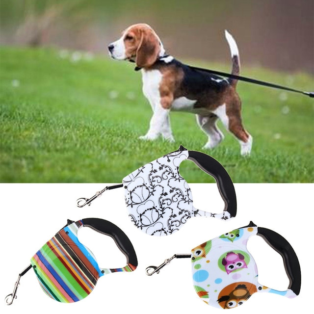 dog lead retractable dog leash 5m pet dog cat puppy automatic retractable pet traction rope lead leashes pet supplies