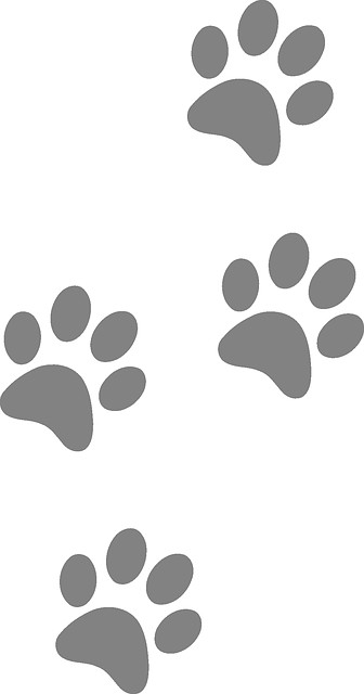 paw print clip art paw patrol cat clipart gata marie bear paws