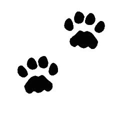 787 views cat paw drawing paw print drawing paw print clip art cat