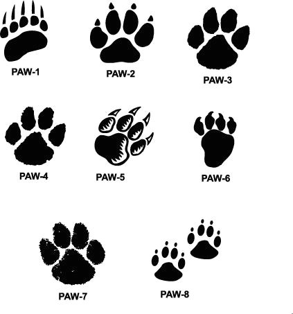 tiger paw prints walking drawing cougar paw prints cougar paw prints xpx promotional products and