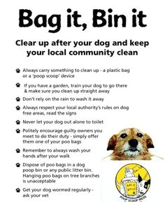 clean up after your dog or don t own a dog simple your