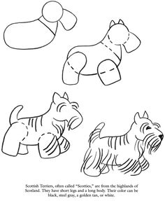 how to draw a scottish terrier scottie step by step art lesson kids dogs