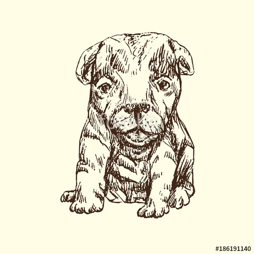 puppy sitting hand drawn doodle sketch isolated vector outline illustration