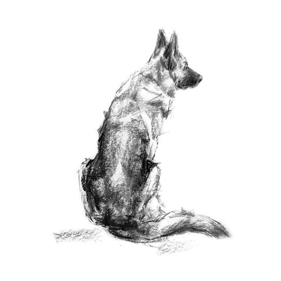 german shepherd dog sketch fine art dog print gsd gift