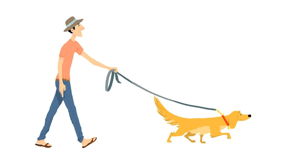 dog walking a dogwalker fnl layer jpg 1000a 500 sketches of people drawing people character