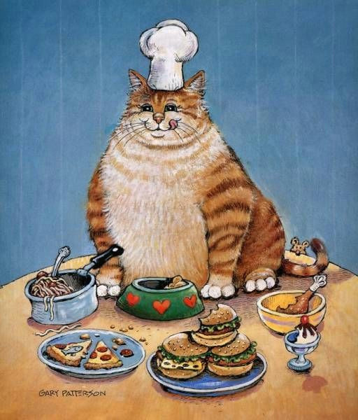 gary patterson cats a 115229 gary patterson fat cat de patterson gary