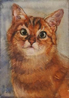 orange cat original watercolor cat painting unique gift for watercolor cat watercolor paintings cat