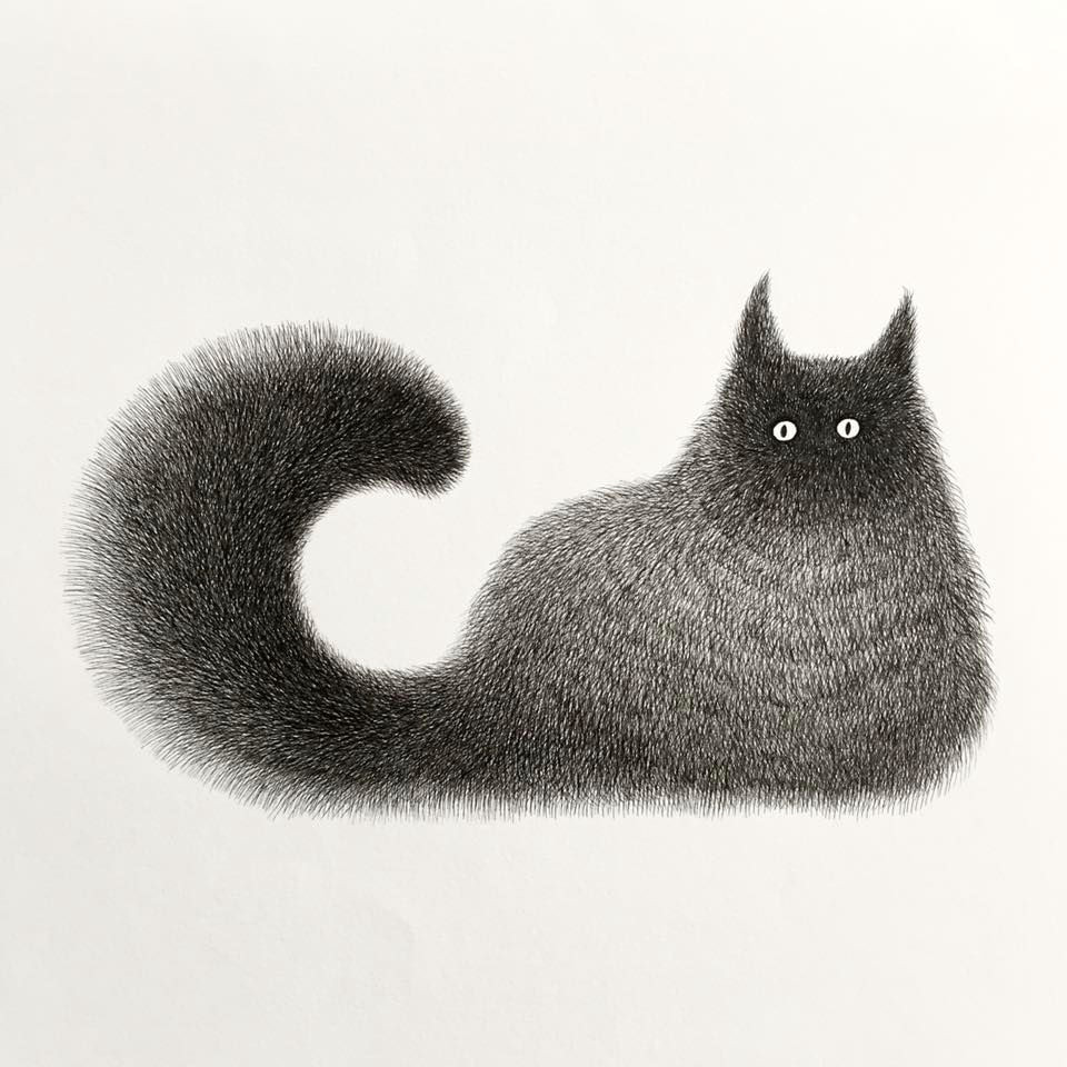Drawing Of A Fluffy Cat Kam Wei Fong the Furry Thing Series Kitty No 13 2017 960a 960