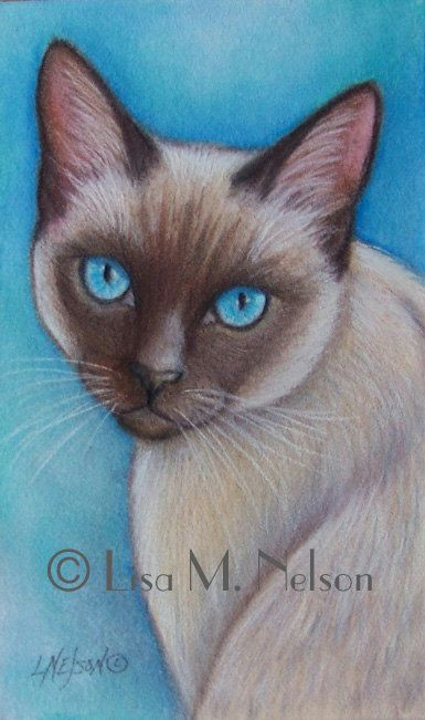 original siamese cat art colored pencil by artbylisamnelson