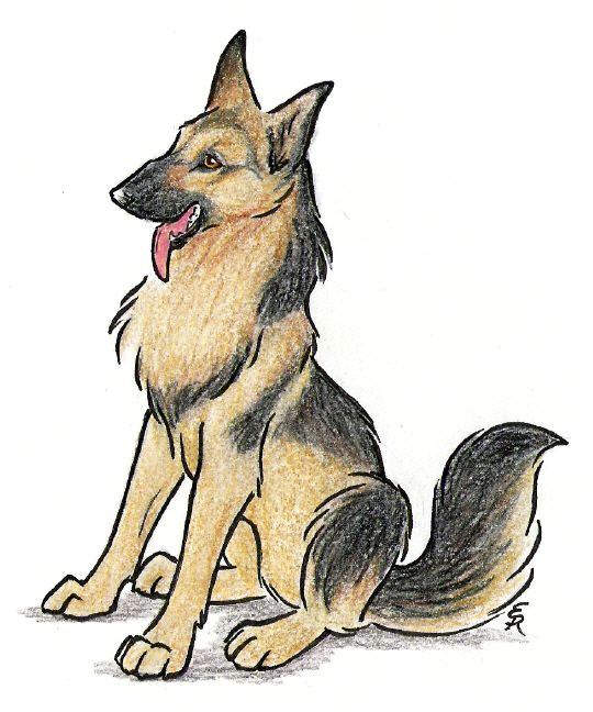 happy german shepherd by wildspiritwolf on deviantart cute dog drawing cute animal drawings