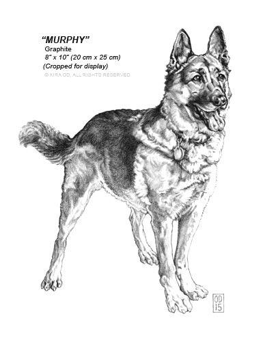 how to draw a german shepherd dog step by step kira od drawings of how to