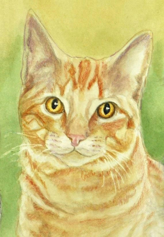 orange tabby cat art print cat watercolor colored pencil print tabby cat art