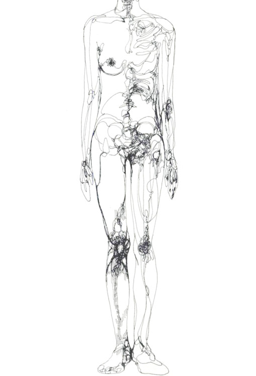 anatomical sketch of female body