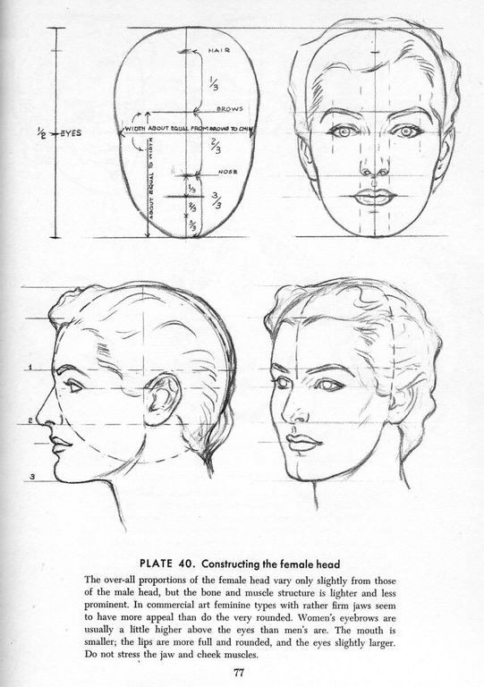 proportion guide for how to draw the female head from the book drawing the head and hands by andrew loomis retro woman