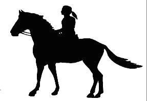 horse decals horse stickers graphics for horse trailers girl riding horse has ponytail