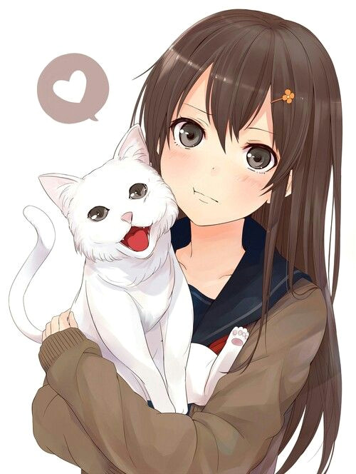 anime girl brown hair brown eyes white cat blushing