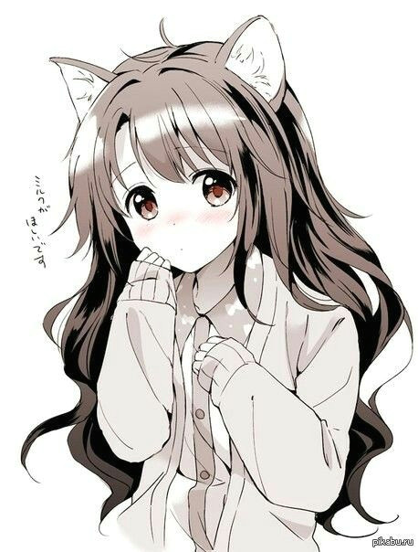discover ideas about anime cat ears
