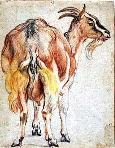 animal range and farm goat pastel sketch by jacob jordaens