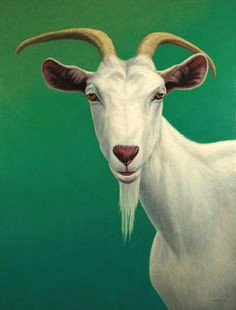james w johnson goat paintings animal paintings watercolor animals fine art america