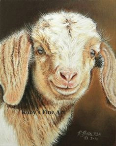 goat print billy goat kid barnyard art by roby baer by robybaer animal paintings sheep